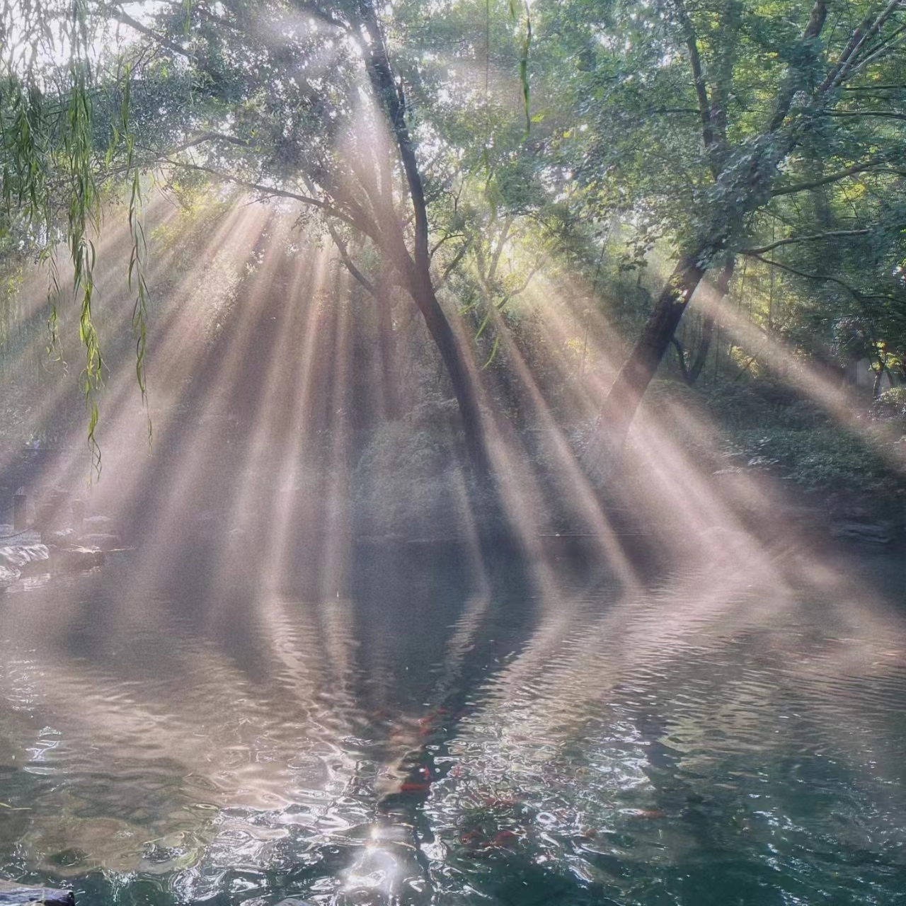 Baotu Spring – – The Surging Waters of China’s “Number One Spring ...